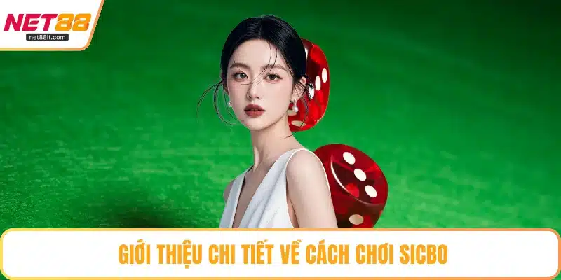 Giới thiệu chi tiết về cách chơi Sicbo